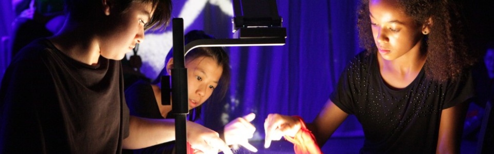 $galleryItem->description