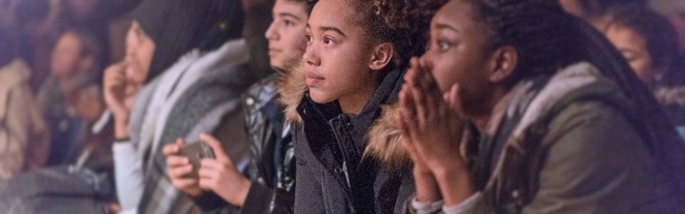 $galleryItem->description