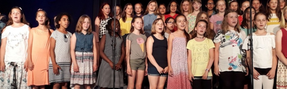 $galleryItem->description