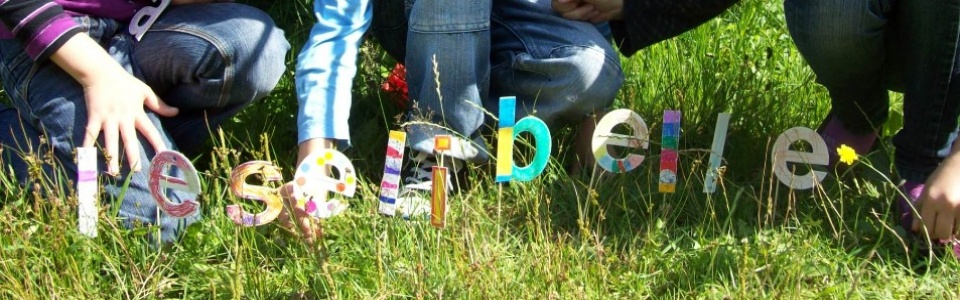 $galleryItem->description