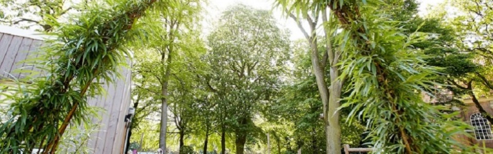 $galleryItem->description