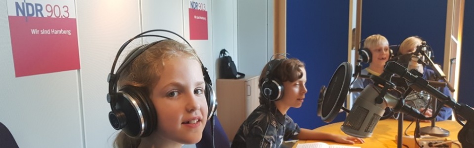 $galleryItem->description