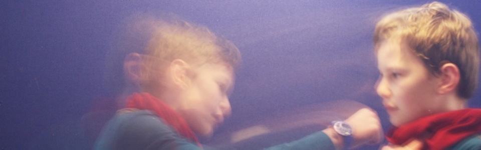 $galleryItem->description