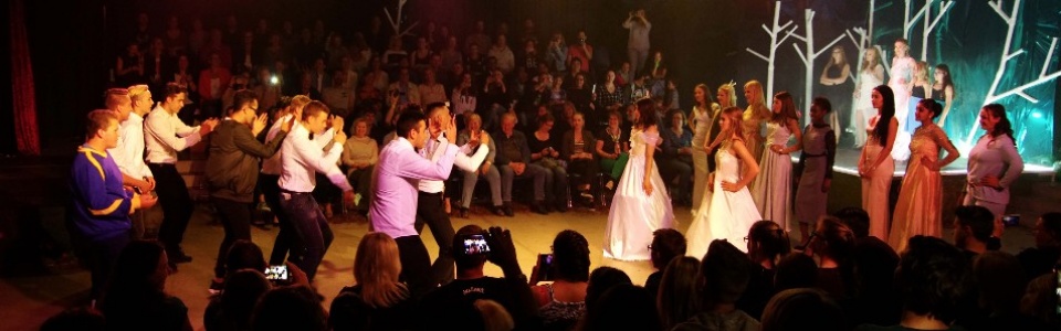 $galleryItem->description