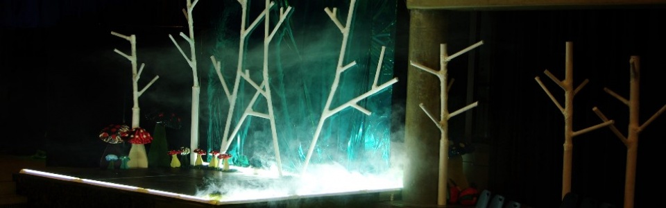 $galleryItem->description