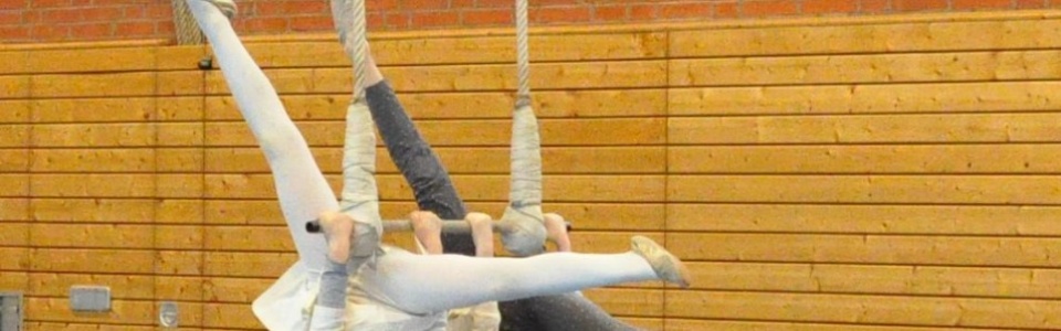 $galleryItem->description