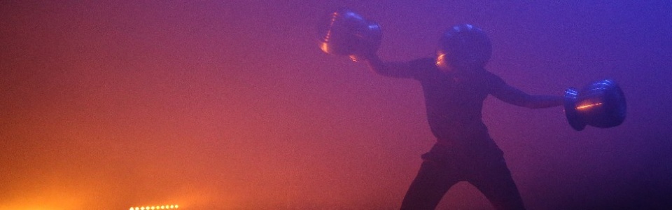 $galleryItem->description