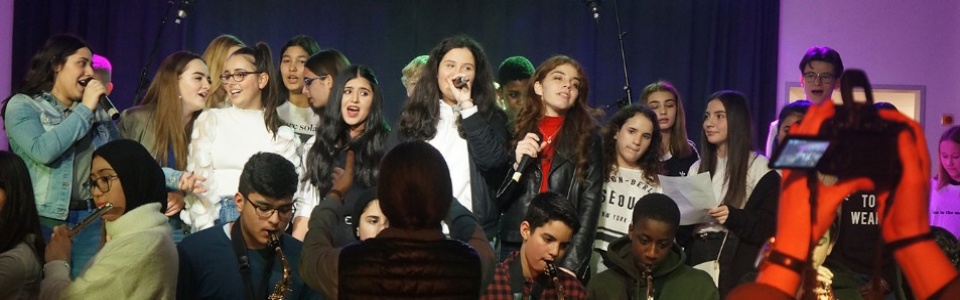 $galleryItem->description