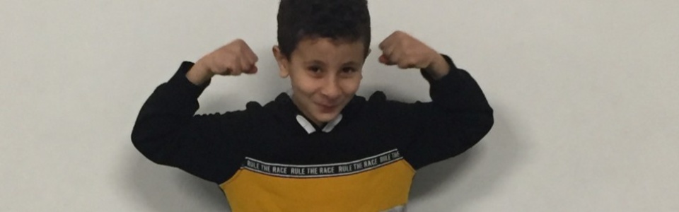 $galleryItem->description