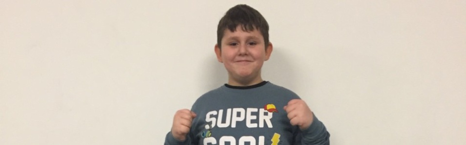 $galleryItem->description