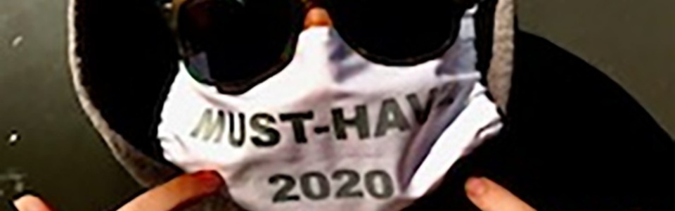 $galleryItem->description