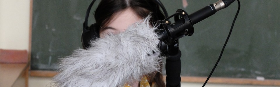 $galleryItem->description