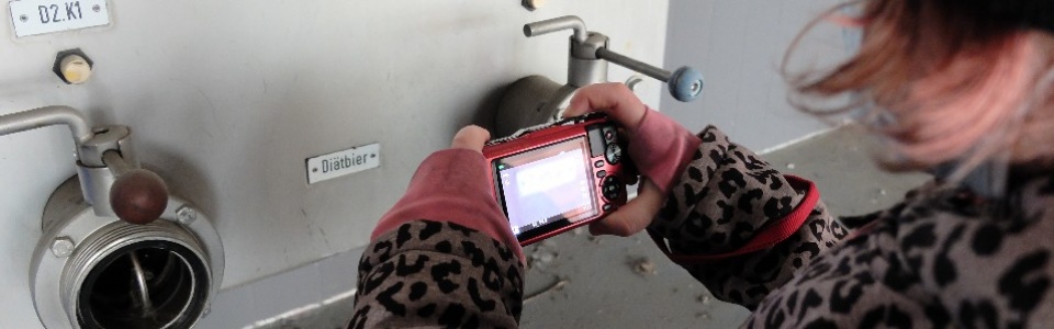 $galleryItem->description