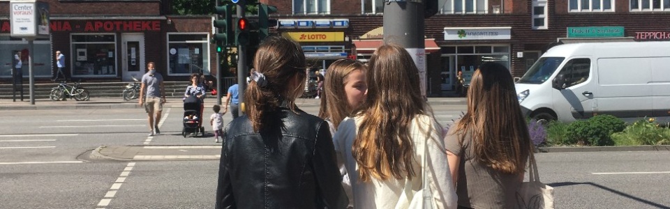 $galleryItem->description