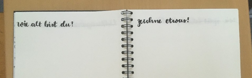 $galleryItem->description