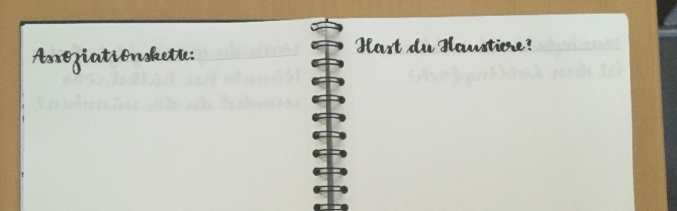 $galleryItem->description