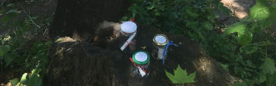 $galleryItem->description