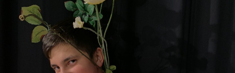 $galleryItem->description