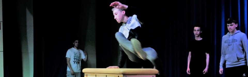 $galleryItem->description