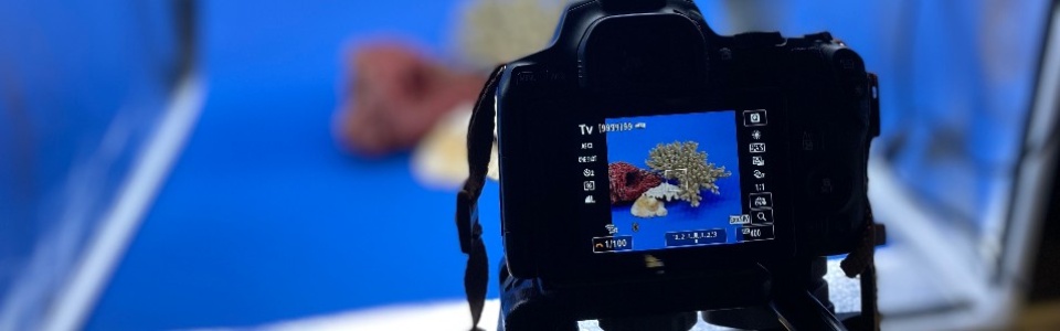 $galleryItem->description