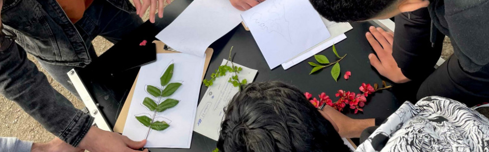 $galleryItem->description