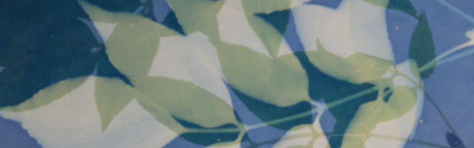 $galleryItem->description