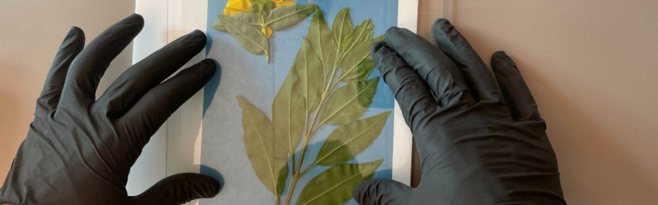 $galleryItem->description