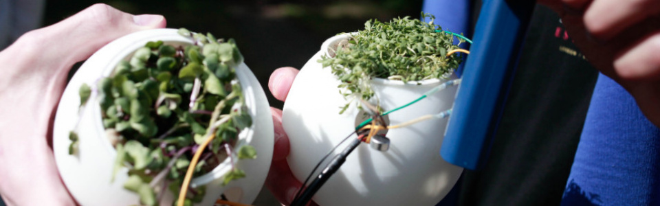 $galleryItem->description