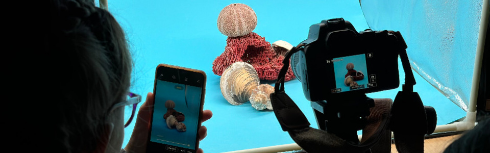 $galleryItem->description