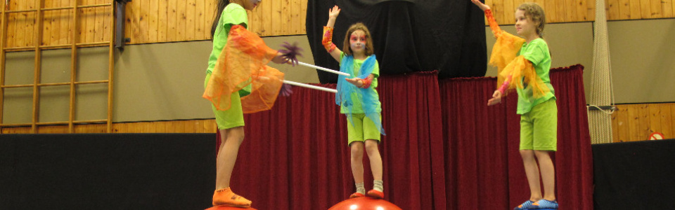 $galleryItem->description